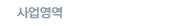 사업영역